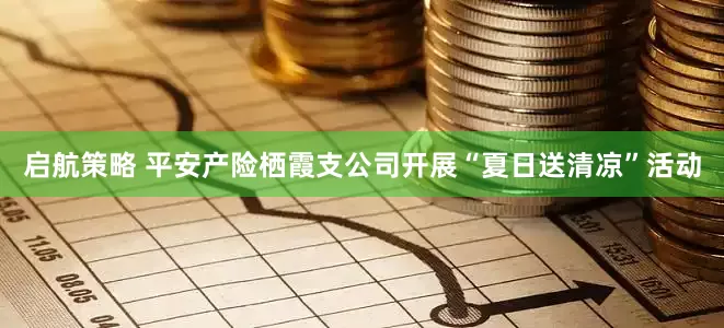 启航策略 平安产险栖霞支公司开展“夏日送清凉”活动