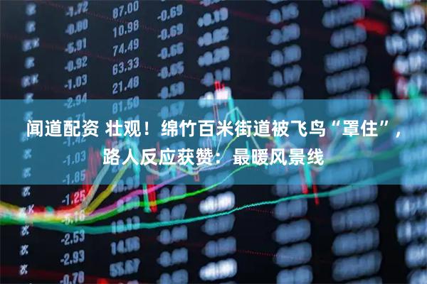 闻道配资 壮观！绵竹百米街道被飞鸟“罩住”，路人反应获赞：最暖风景线