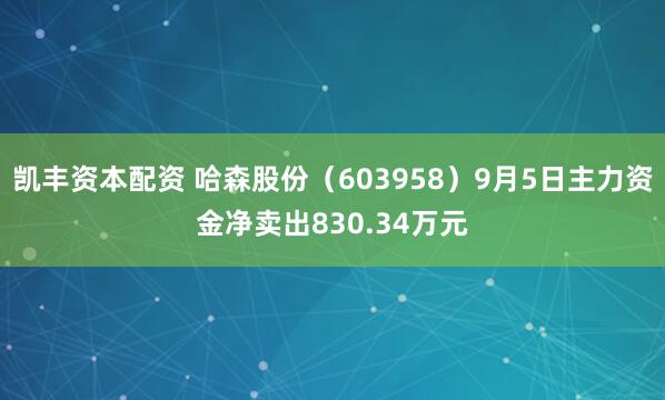 凯丰资本配资 哈森股份（603958）9月5日主力资金净卖出830.34万元
