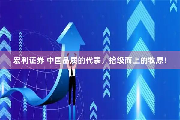 宏利证券 中国品质的代表，拾级而上的牧原！