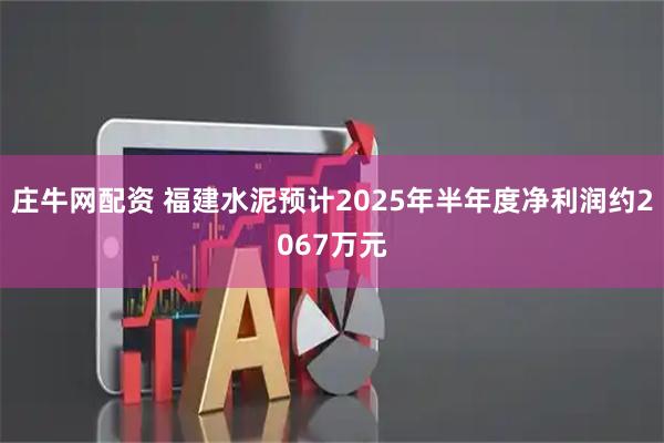 庄牛网配资 福建水泥预计2025年半年度净利润约2067万元